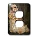 Dogs Cocker Spaniel - Cocker Spaniel - Light Switch Covers - 2 plug outlet cover