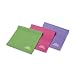 Savasa for Women Flat Pilates Band Kit (Light, Medium, and Heavy Bands) with SPT Workout DVD
