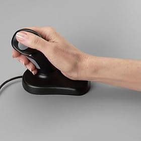 3M Large Renaissance Mouse by 