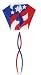 Go Fly A Kite Patriotic Parafoil Kite