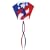 Go Fly A Kite Patriotic Parafoil Kite