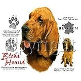 Bloodhound Adult T-Shirt