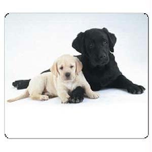 image link -  - B00070IO92