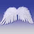 Adult 22" White FEATHER ANGEL WINGS