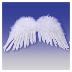 Adult Feather Angel Wings