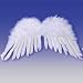 Adult Feather Angel Wings
