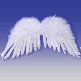 Adult Feather Angel Wings