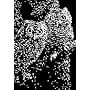 Scratchboard 12pt Black 12 Sheet Pkg 11x14
