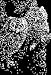 Scratchboard 12pt Black 12 Sheet Pkg 11x14