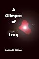 A Glimpse of Iraq
