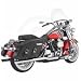 Python Mamba Duals Exhaust - 1800-0741