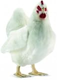 Eigenschaften Hansatoys Intl. / Hansa Stofftier - Huhn weiß 40 cm