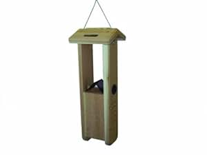 Amazon.com : Birds Choice Woodpecker Feeder : Wild Bird Hopper Feeders