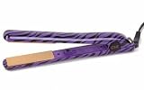 Chi Purple Zebra