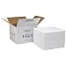 Polar Tech XM3C Thermo Chill Expand-em Series Insulated Carton with Foam Shipper, 10-3/8" Length x 10-3/8" Width x 11" Depth (Case of 2)
