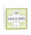 Jane inc. All Natural Effervescent Cube Bath Fizzy-Cold & Sinus