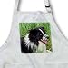 Dogs Border Collie - Border Collie - Aprons