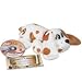 Pound Puppy with DVD: 13