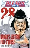 Bleach Volume 28 (In Japanese) (Bleach, Volume 28)