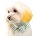 Striped Shirt Dog Dress Collar