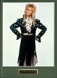 Labyrinth High Quality Movie Mounted Photo Print