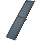 Petco Folding Pet Ramp for Dogs