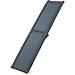 PETCO Folding Pet Ramp for Dogs