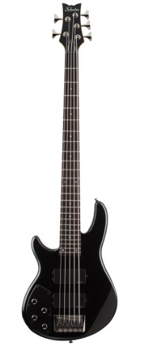 Schecter Raiden Custom-5 Five String Bass Left Handed - Black