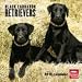 labrador2  - Black Labrador Retrievers 2010 Wall Calendar