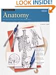 Beginner's Guide: Anatomy