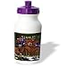 Londons Times Offbeat Cartoons - Music/Musicians - Vincent Van Gogh Goo Dolls - Water Bottles