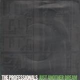 JUST ANOTHER DREAM 7 INCH (7" 45) UK VIRGIN 1980