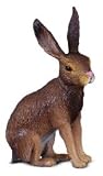 RSPCA Brown HareIMAGE