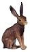 RSPCA Brown Hare_s-1