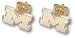Michigan 10KT M 1/4 Earrings