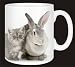 EXOTIC SILVER KITTEN & RABBIT Coffee Mug