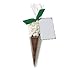 - 100 - Large Cone Bags 17