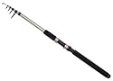 Shakespeare In2 Travel Telescopic Rod