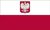 America's Flag Company FF3X5NPWE1 3-Foot by 5-Foot Nylon Poland with Eagle Flag