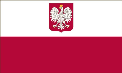 America's Flag Company FF3X5NPWE1 3-Foot by 5-Foot Nylon Poland with Eagle Flag