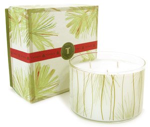 The Thymes Frasier Fir Large Multi-Wick Aromatic Candle - 17 oz.