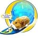 Zhu Zhu Pets Hamster Deluxe Accessory Kit Surfboard and Sleep Dome