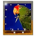 Birds - Green Cheeked Amazon Parrot - Desk Clocks