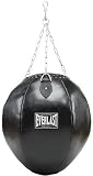 Everlasts Wrecking Ball Bag