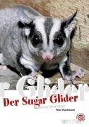 Glider