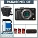 Panasonic Lumix DMC-GX1 16MP Camera Body - Black - Bundle - with 16GB SD Memory Card, Camera Case, USB 2.0 SD Card Reader, FREE: Red Giant Adorama Production Bundle for PC/Mac a $599.00 Retail Value
