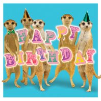 Erdmännchen Karte - Birthday Meerkats! - Geburtstagskarte