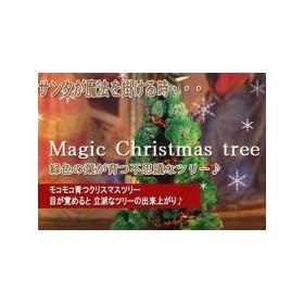 �}�W�b�N�@�N���X�}�X�c���[ �y���Ԍ���Z�[�����I�z