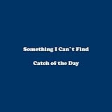 Something I Can't Find