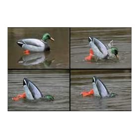 Cherokee Sports Jerk Duck Motion Decoy by